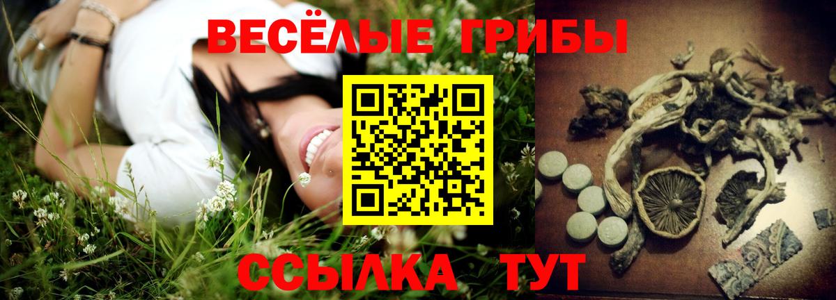 Псилоцибиновые грибы Magic Shrooms Бугуруслан